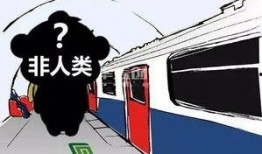 石家庄铁路爆料最新,揭秘新线路开通与优化计划